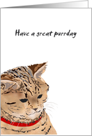 Happy Purrday Cat in Red Collar Birthday card