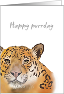 Happy Purrday Jaguar Birthday card