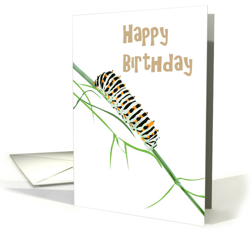 Birthday Swallowtail Caterpillar On Fennel Twig card (1294992)