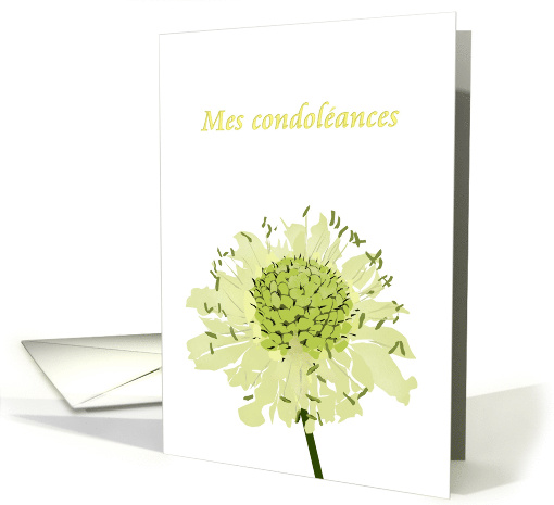 Mes Condoleances My Condolences In French Scabiosa Flower card