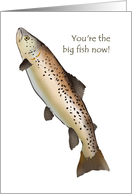 Congratulations on promotion, a big fish card