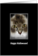 Halloween Our House To Yours Creepy Pumpkin Reflected In Cat’s Eyes card