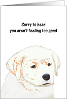 Get Well Labrador Puppy Looking Glum card