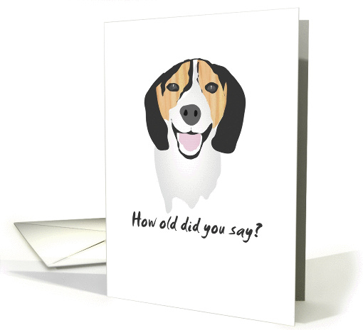 Birthday how old did you say?, funny dog card (1309836)