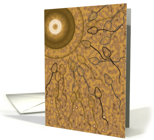 Thank You Sperm Donor Illustration Of Onset Of Fertilization card