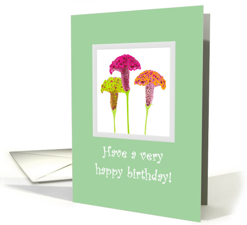 Birthday, colorful cockscomb flowers card (1312772)