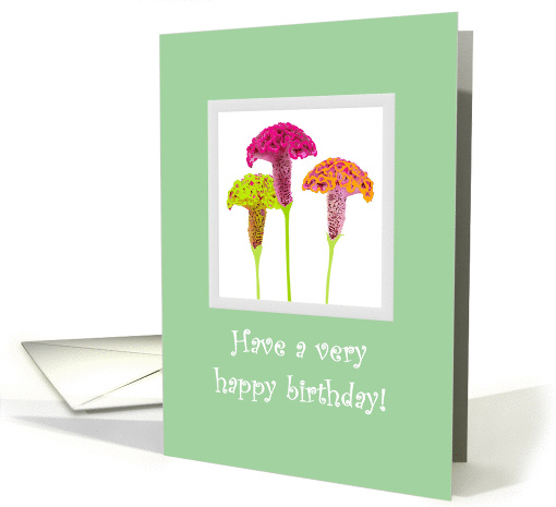 Birthday, colorful cockscomb flowers card (1312772)