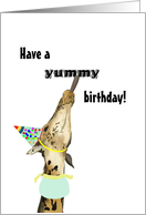 Giraffe Licking Birthday Greeting Birthday For Kids card