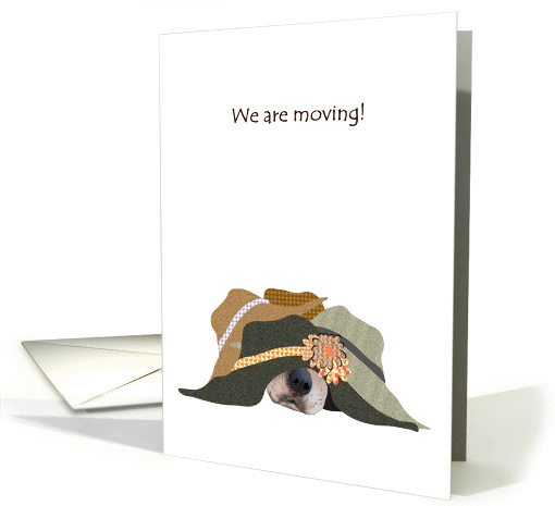 We are moving, dog asleep under a pile of hats, new address card