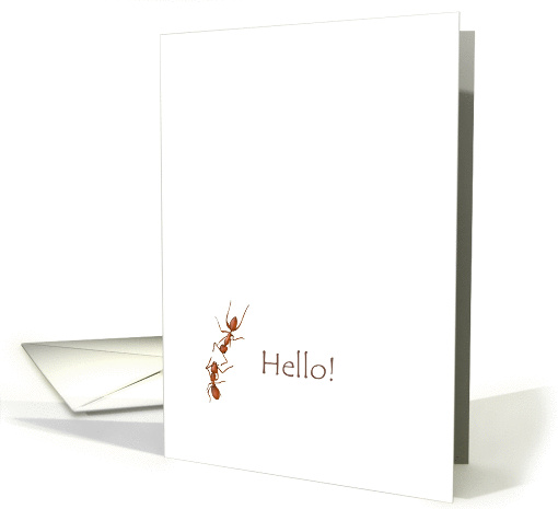 Hi, hello! A couple of ants exchanging greetings card (1314396)