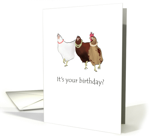 Birthday, great looking hens card (1317800)