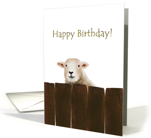 Birthday, sheep behind wooden fence card (1318168)