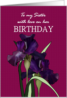 Birthday for sister, pretty irises maroon checkered background card