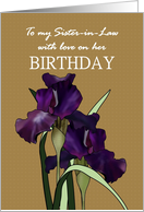 Birthday for Sister-in-Law Pretty Irises Brown Checkered Background card