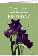 Birthday for Female Cousin Pretty Irises Green Checkered Background card
