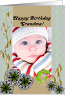 Birthday for Grandma Cute Frog and Flowers Photocard card