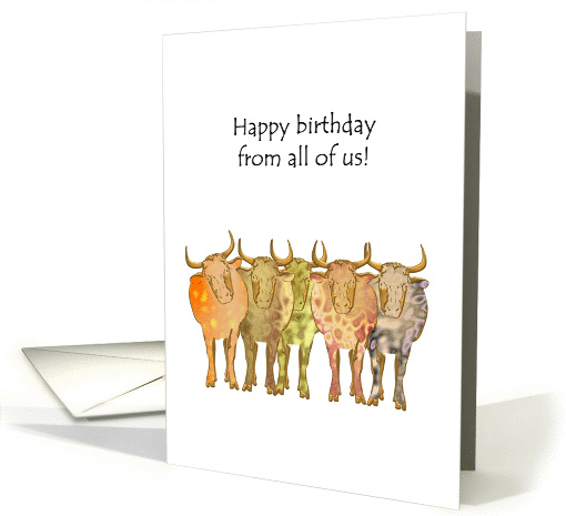 Birthday from all of us, oxen in a line, have a bonza day card