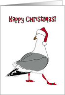 Christmas Gull Wearing Santa’s Hat And Colorful Socks card