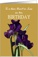 Birthday for Aunt In Law Pretty Irises on Brown Background card