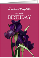 Birthday for Daughter Pretty Irises on Maroon Background card