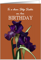 Birthday for step sister, pretty irises on patterned brown background card