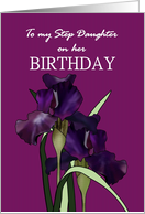Birthday Step Daughter Pretty Irises on Patterned Purple Background card