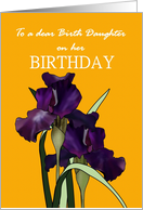 Birthday for Birth Daughter Pretty Irises Patterned Yellow Background card