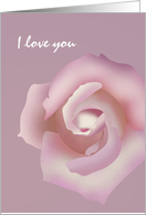 I love you, purple rose Valentine’s Day card