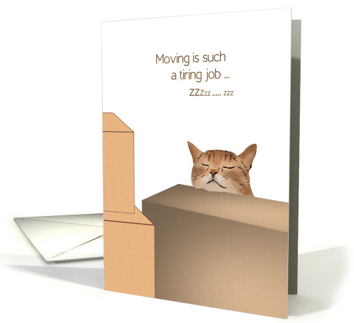 Congratulations on New Apartment Cat Asleep Against a Box card