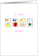 Congratulations on New Baby Sister Colorful Picture Cards