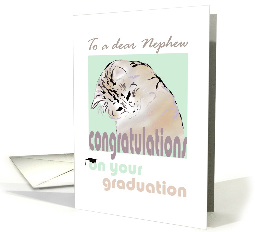 Congratulations on Graduation for Nephew Cat looking Downwards card