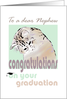 Congratulations on Graduation for Nephew Cat looking Downwards card