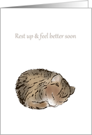 Feel Better Cat...