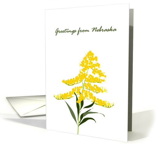 Greetings from Nebraska Goldenrod Flowers Nebraska State Flower card