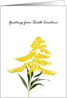 Greetings From South Carolina Goldenrod State Wildflower card