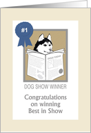 Congratulations best in show dog show, dog reading newspaper card