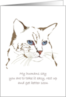 Cat Delivering Get Well Message From Its Humans card
