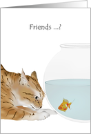Humorous Friendship Cat And Goldfish Friends card