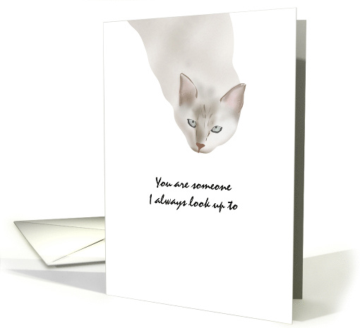 Birthday for Big Brother Cat Looking Up At You card (1338028)