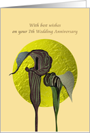Seventh Wedding Anniversary Jack-In-The-Pulpit Flowers card