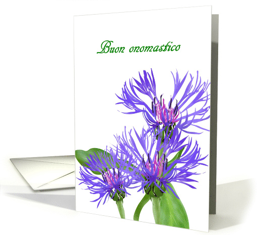 Buon Onomastico Happy Name Day in Italian Mountain Cornflowers card