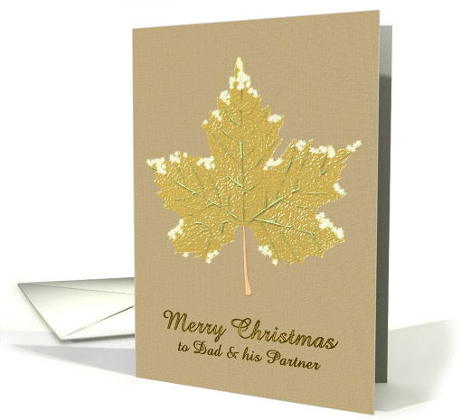 Christmas for Dad and Partner Ice Crystals on Plane Leaf card