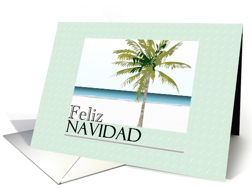 Feliz Navidad Christmas Greeting In Spanish Tropical Beach card