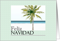 Feliz Navidad Christmas Greeting In Spanish Tropical Beach card