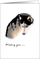 Missing You Sad Looking Dog card
