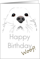 Birthday Sketch of a Dog Up Close card