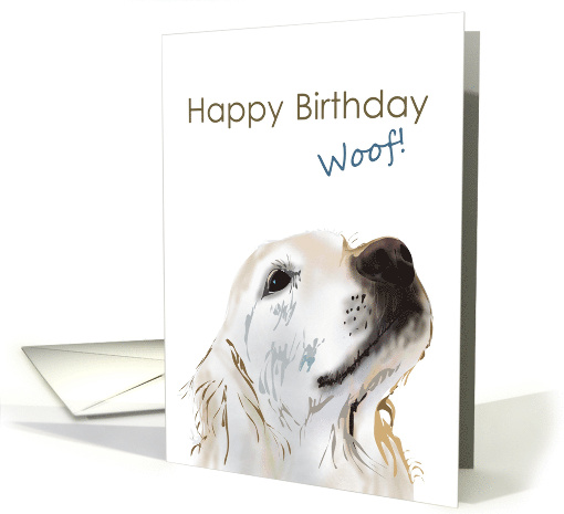 Birthday Fun Sketch Of Labrador card (1351162)