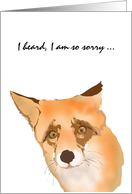 My Sympathy Fox Looking Sad card
