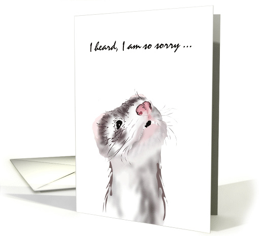 My Sympathy Ferret Looking Sad card (1356848)