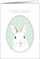 Easter Bunny in an Egg-Shaped Frame card